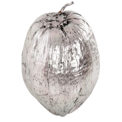 ДЕКОРАЦИЯ ЗА МАСА HM4326.04 КОКОС В СРЕБРИСТ ЦВЯТ 20x20x20Hcm.