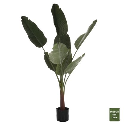 ДЕКОРАТИВНО СИНТЕТИЧНО РАСТЕНИЕ В САКСИЯ STRELITZIACEAE 150Hcm.