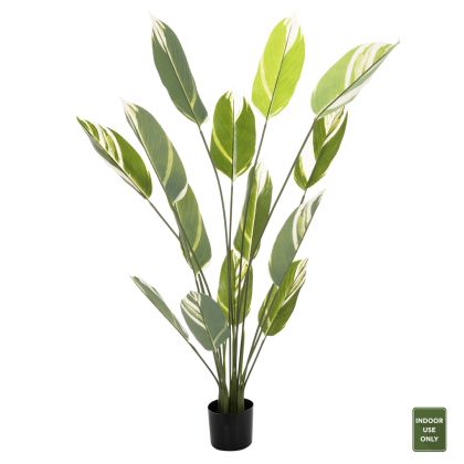 DECORATIVE SYNTHETIC PLANT IN POT HM7997 CALATHEA 140Hcm.