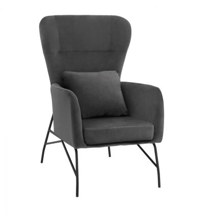 Armchair Velvet Grey with metallic black leg HM8721.01 67x80x102 cm.