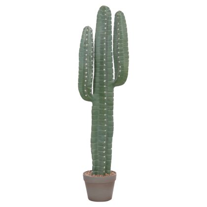 DECORATIVE SYNTHETIC PLANT IN POT HM4742 CACTUS 17.5x26x103Hcm.