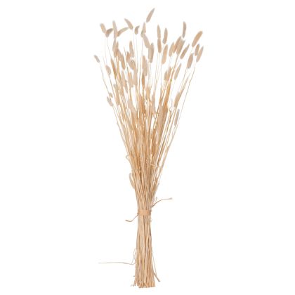 DECORATIVE DRIED BOUQUEΤ RABBIT TAIL HM7959 CREAM 76Hcm.