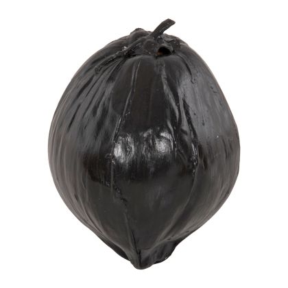 ДЕКОРАЦИЯ ЗА МАСА HM4326.02 КОКОС В ЧЕРЕН ЦВЯТ 20x20x20Hcm.