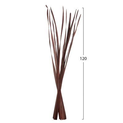 DECORATIVE DRIED SWORD LEAF BOUQUET HM7965 10PCS BROWN 120Hcm.