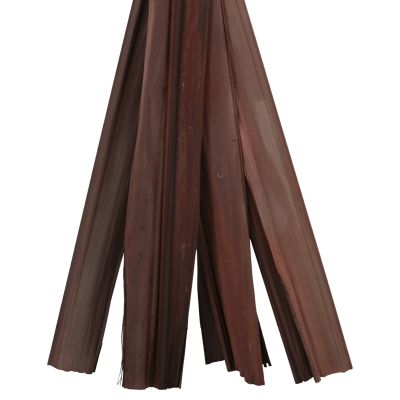 DECORATIVE DRIED SWORD LEAF BOUQUET HM7965 10PCS BROWN 120Hcm.