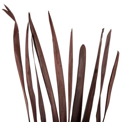 DECORATIVE DRIED SWORD LEAF BOUQUET HM7965 10PCS BROWN 120Hcm.