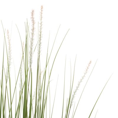 DECORATIVE SYNTHETIC PLANT IN POT HM4017 BRISTLEGRASS 173Hcm.