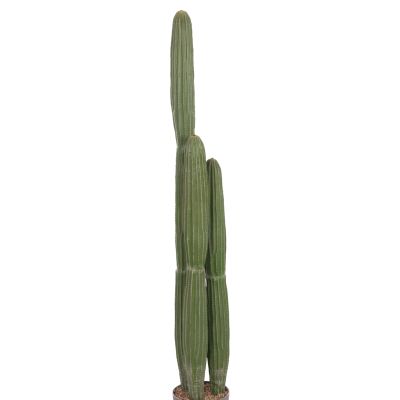 DECORATIVE SYNTHETIC PLANT IN POT HM4745 CACTUS Φ17.5x144Hcm.