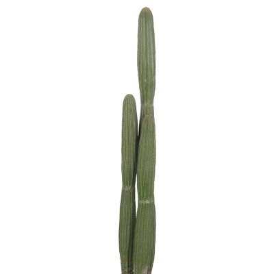 DECORATIVE SYNTHETIC PLANT IN POT HM4745 CACTUS Φ17.5x144Hcm.