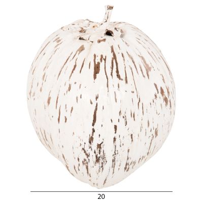 TABLE DECORATION HM4326.05 COCONUT IN WHITE COLOR 20x20x20Hcm.