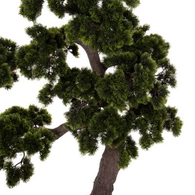 ДЕКОРАТИВНО СИНТЕТИЧНО РАСТЕНИЕ В САКСИЯ HM7976 BEAUTY PINE TREE (БОНСАЙ) 55x130x114Hcm.