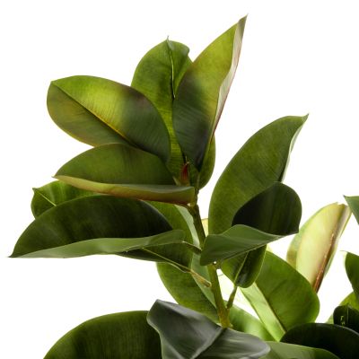 DECORATIVE SYNTHETIC PLANT IN POT HM4000 OAK TREE Φ18x14,5-160Hcm.