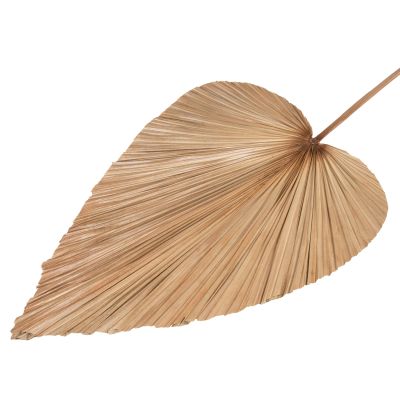 СУШЕН ДЕКОР ОТ ПАЛМОВИ ЛИСТА HM7875 В ЕСТЕСТВЕН ЦВЯТ 42x135x3 см.