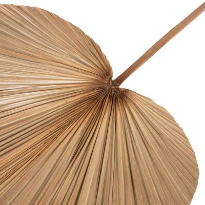 СУШЕН ДЕКОР ОТ ПАЛМОВИ ЛИСТА HM7875 В ЕСТЕСТВЕН ЦВЯТ 42x135x3 см.