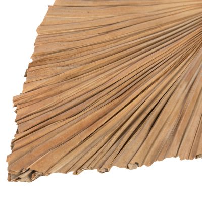 СУШЕН ДЕКОР ОТ ПАЛМОВИ ЛИСТА HM7875 В ЕСТЕСТВЕН ЦВЯТ 42x135x3 см.