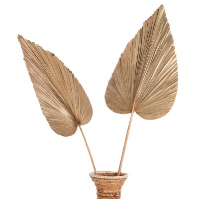 СУШЕН ДЕКОР ОТ ПАЛМОВИ ЛИСТА HM7875 В ЕСТЕСТВЕН ЦВЯТ 42x135x3 см.