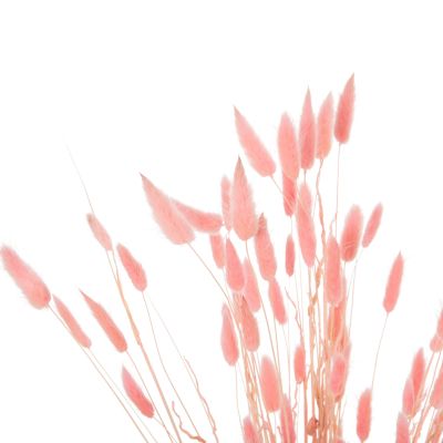 ДЕКОРАТИВЕН СУШЕН БУКЕТΤ ЗАЕШКА ОПАШКА HM7960 РОЗОВ 75Hcm.