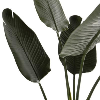 DECORATIVE SYNTHETIC PLANT IN POT HM7969 STRELITZIACEAE 115Hcm.