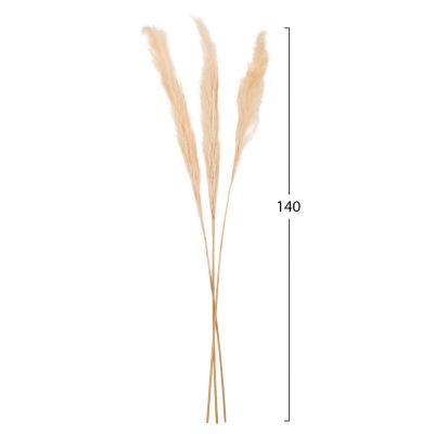 ДЕКОРАТИВНА СУХА ТЪСТЪКИЯ 3БР HM7961 БЯЛА 140Hcm.