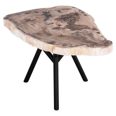 COFFEE TABLE SAMAN HM9930 METAL BLACK LEGS-PETRIFIED WOOD TOP 76x53x45Hcm.