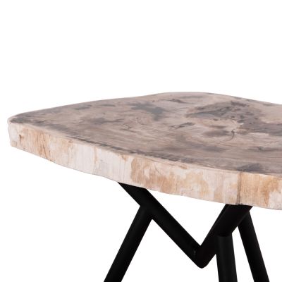 COFFEE TABLE SAMAN HM9930 METAL BLACK LEGS-PETRIFIED WOOD TOP 76x53x45Hcm.