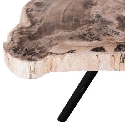 COFFEE TABLE SAMAN HM9930 METAL BLACK LEGS-PETRIFIED WOOD TOP 76x53x45Hcm.