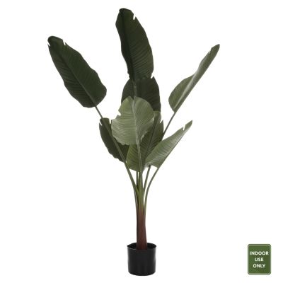 ДЕКОРАТИВНО СИНТЕТИЧНО РАСТЕНИЕ В САКСИЯ STRELITZIACEAE 150Hcm.