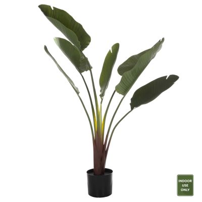 ДЕКОРАТИВНО СИНТЕТИЧНО РАСТЕНИЕ В САКСИЯ STRELITZIACEAE 137Hcm.