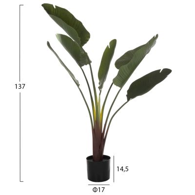 ДЕКОРАТИВНО СИНТЕТИЧНО РАСТЕНИЕ В САКСИЯ STRELITZIACEAE 137Hcm.