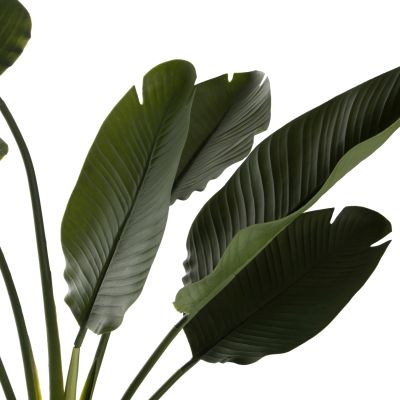 ДЕКОРАТИВНО СИНТЕТИЧНО РАСТЕНИЕ В САКСИЯ STRELITZIACEAE 137Hcm.