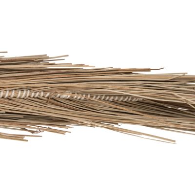 ДЕКОРАТИВНО ДЪРВО TROPIC 310Hcm.