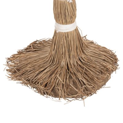 ДЕКОРАТИВНО ДЪРВО TROPIC 310Hcm.