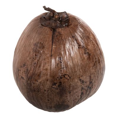 ДЕКОРАЦИЯ ЗА МАСА-COCONUT ЕСТЕСТВЕН ЦВЯТ 