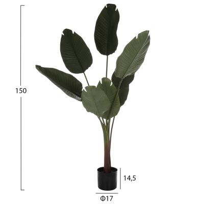 ДЕКОРАТИВНО СИНТЕТИЧНО РАСТЕНИЕ В САКСИЯ HM7982 STRELITZIACEAE Φ17x14,5-150Hcm.