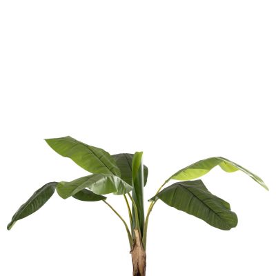 DECORATIVE SYNTHETIC PLANT HM7979 BANΑΝΑ TREE (1) IN POT 180H cm.