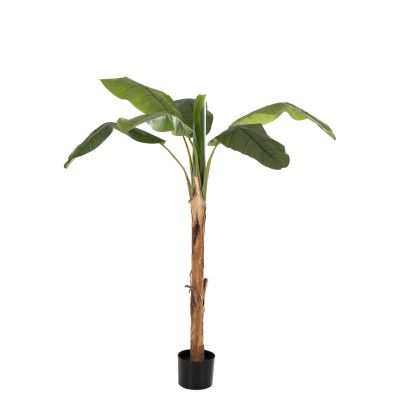 DECORATIVE SYNTHETIC PLANT HM7978 BANΑΝΑ TREE IN POT 200H cm.