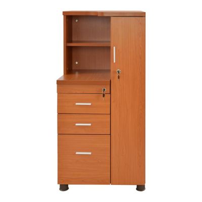Professional office cabinet-wardrobe cherry color HM2052.03R 60x46x120