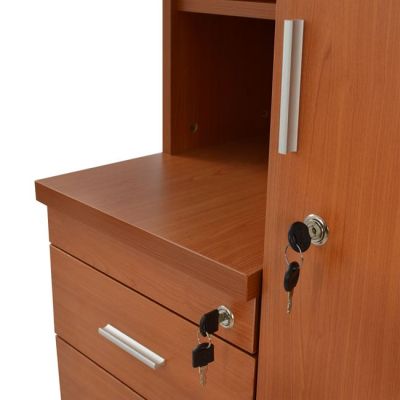 Professional office cabinet-wardrobe cherry color HM2052.03R 60x46x120