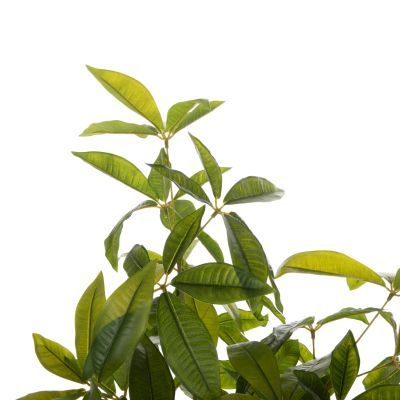 DECORATIVE SYNTHETIC PLANT IN POT HM4018 PACHIRA MACROCARPA 125Hcm.