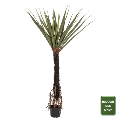 DECORATIVE SYNTHETIC PLANT HM7989 SISAL TREE IN POT 200H cm.