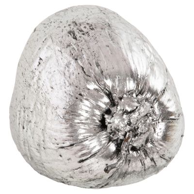 TABLE DECORATION HM4326.04 COCONUT IN SILVER COLOR 20x20x20Hcm.