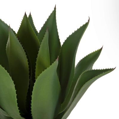 DECORATIVE SYNTHETIC PLANT IN POT HM7998 BROADLEAF AGAVE Φ15x12.5-62Hcm.