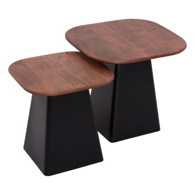 COFFEE TABLES 2PCS VAIOLA HM9998 MANGO WOOD TOP-METAL BLACK BASES 40x40 & 50x50 cm.