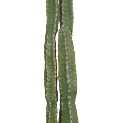 DECORATIVE SYNTHETIC PLANT IN POT HM4741 CACTUS Φ19.5x141Hcm.