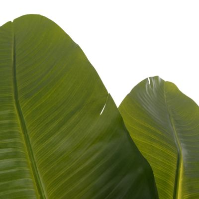 DECORATIVE SYNTHETIC PLANT IN POT HM4739 STRELITZIA Φ18x172Hcm.