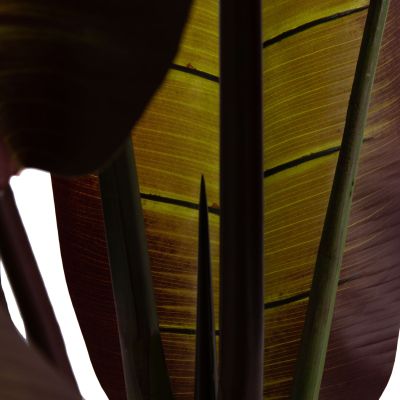 DECORATIVE SYNTHETIC PLANT IN POT HM4740 JAPANESE BANANA 85x75x225Hcm.