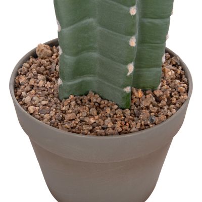 DECORATIVE SYNTHETIC PLANT IN POT HM4742 CACTUS 17.5x26x103Hcm.