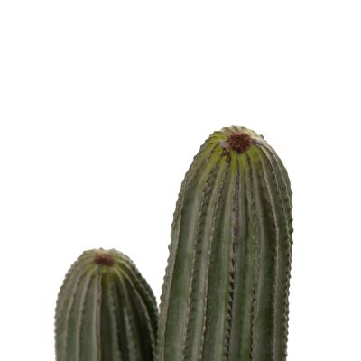 DECORATIVE SYNTHETIC PLANT IN POT HM4744 CACTUS Φ17.5x105Hcm.