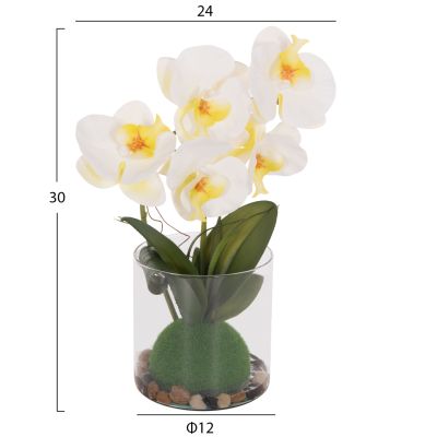DECORATIVE SYNTHETIC PLANT HM4738 PHALAENOPSIS FLOWER IN GLASS POT 12x24x30Hcm.