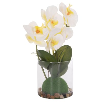 DECORATIVE SYNTHETIC PLANT HM4738 PHALAENOPSIS FLOWER IN GLASS POT 12x24x30Hcm.